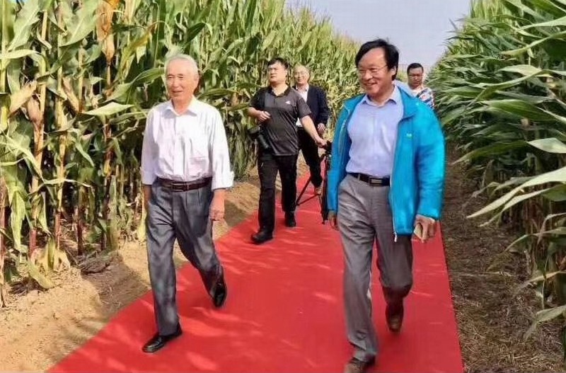 EjaTlXvX0AAcGCH.jpg EjaTlXvX0AAcGCH.jpg