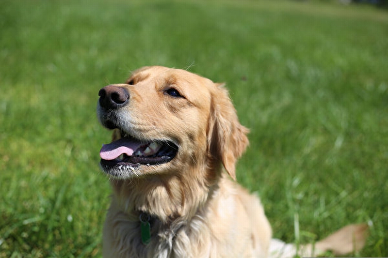 shutterstock_1722397474-600x400.jpg shutterstock_1722397474-600x400.jpg