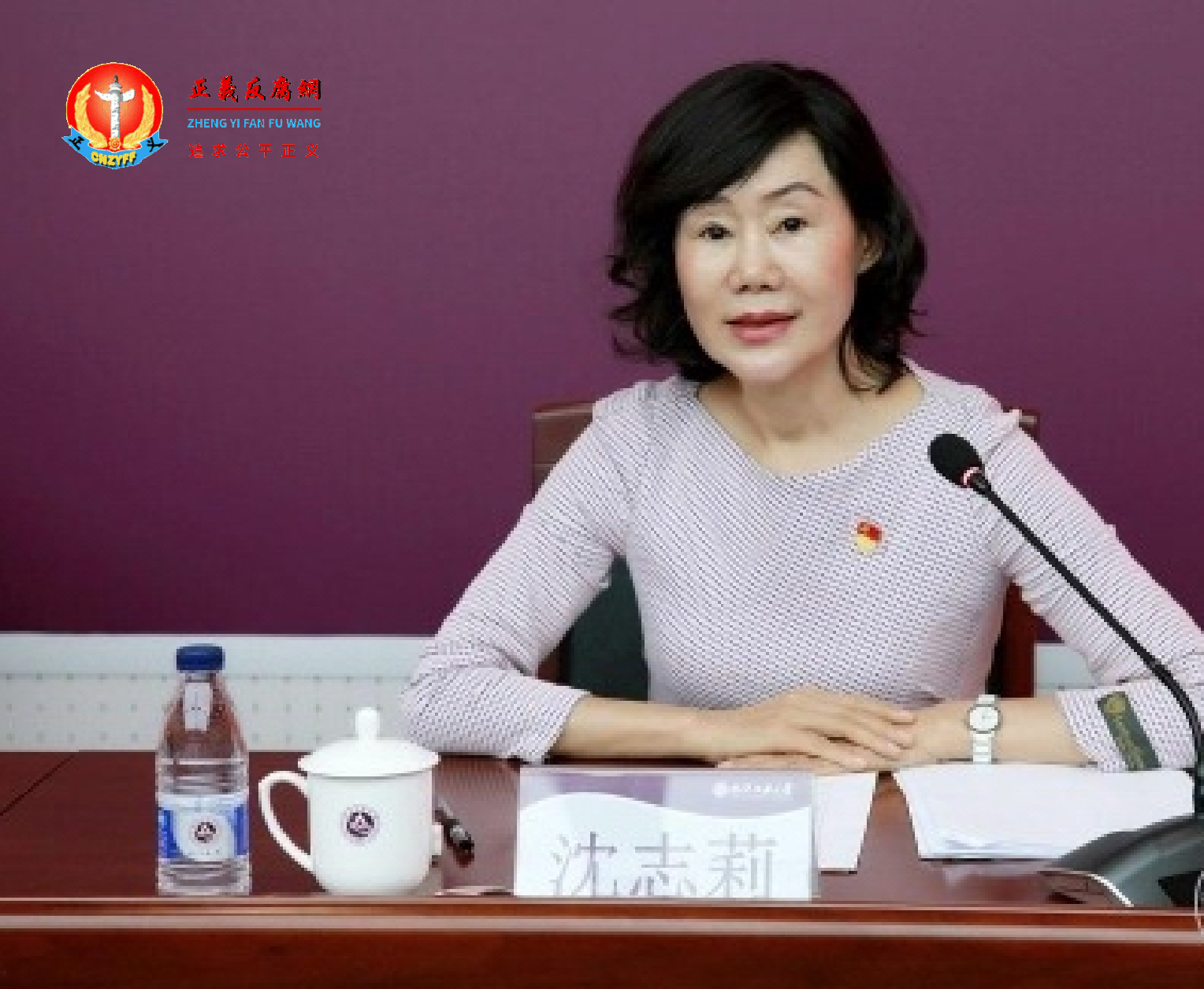 北方工业大学原党委常委、副校长沈志莉.png 北方工业大学原党委常委、副校长沈志莉.png