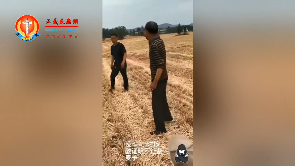 农民正在麦田里收割小麦，地方政府官员防疫荒唐剧割麦子也要48小时核酸证明，一名老农民气得与村官大骂.png