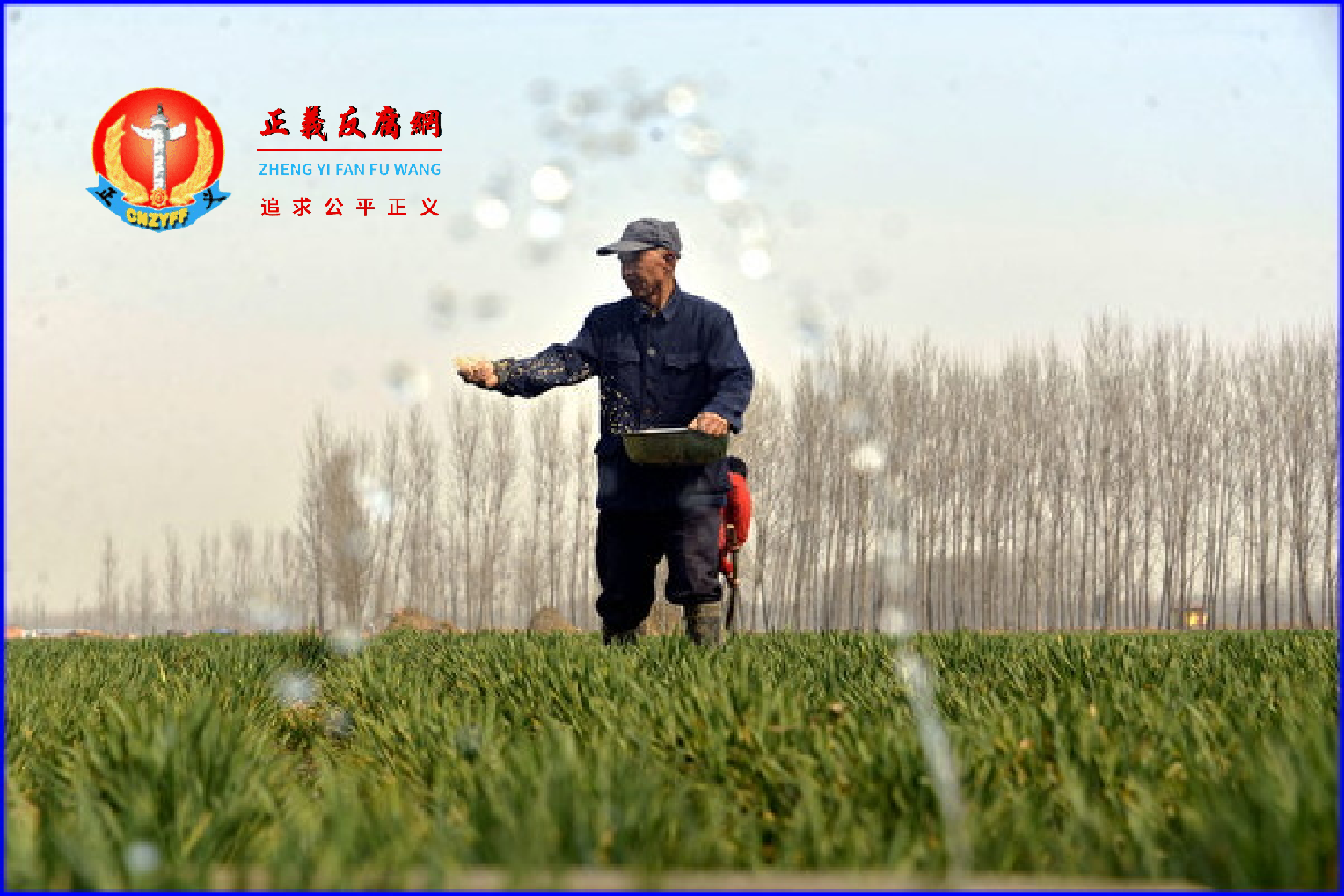 黑龙江省饶河县今年3月发布的当地春耕情况报告，引发了外界对中国粮食种植成本高、农民种地缺乏积极性等问题的关注。图为山东省聊城茌平县一处麦田。.png