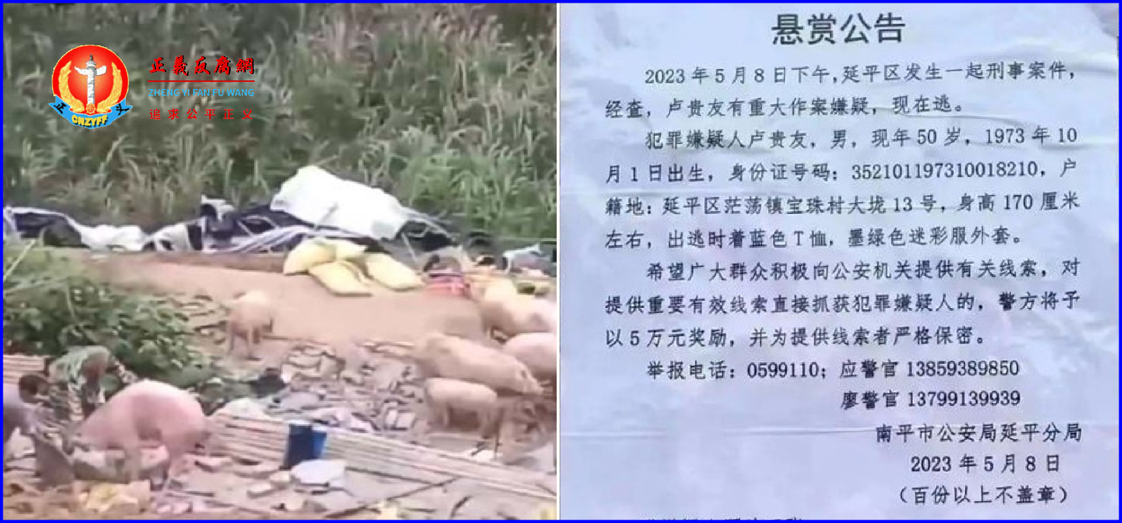 网传2023年5月8日，福建省南平市官方人员强拆养猪场，引发枪击案。.png
