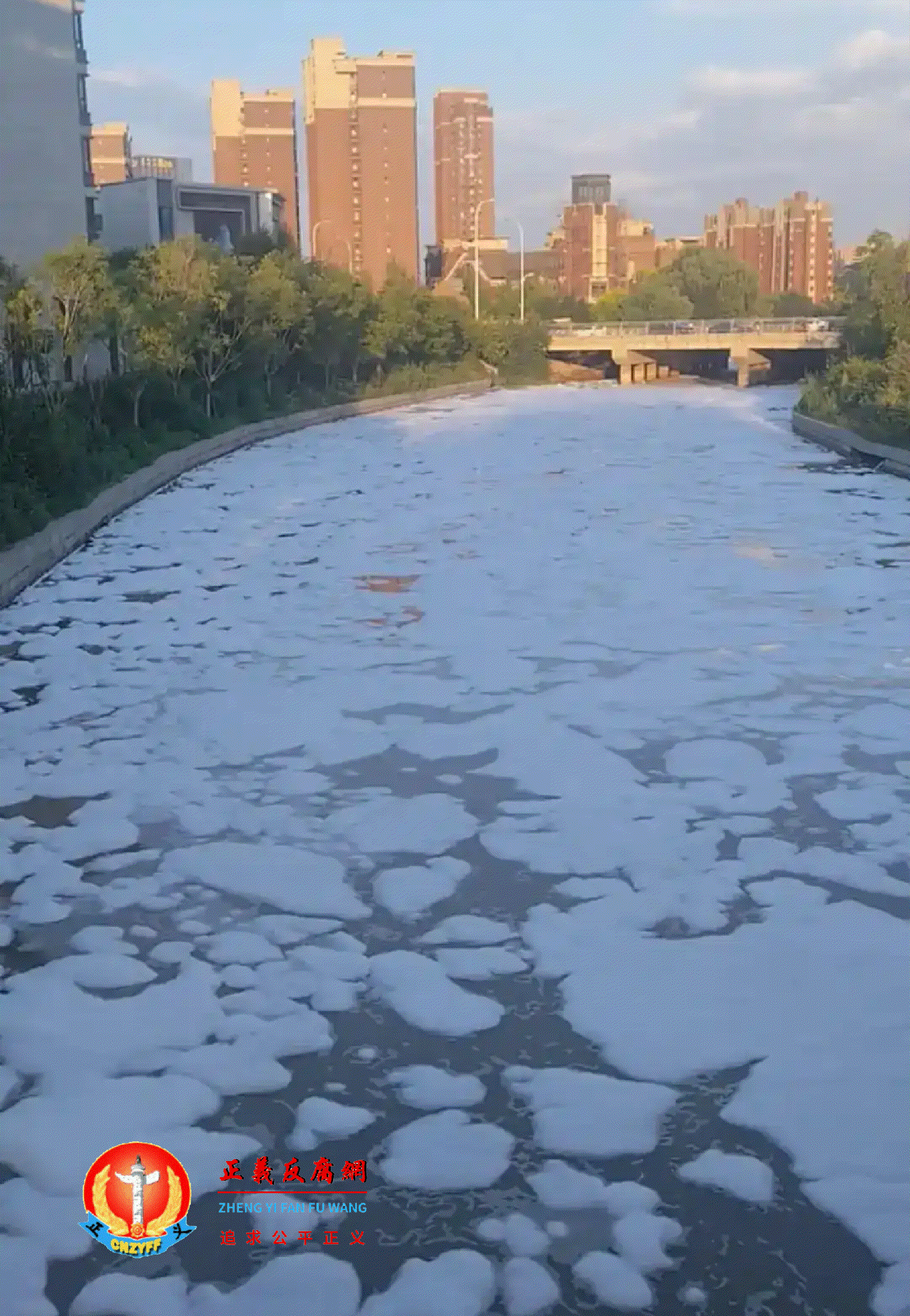 8月9日傍晚，沈阳市生态环境部门发现白塔堡河支流白支排干河道内出现大量泡沫。.gif